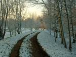 Le chemin de l'espoir