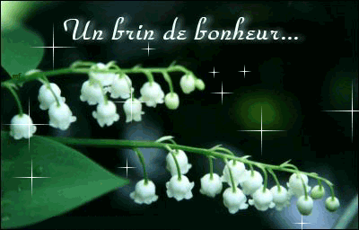brin de bonheur